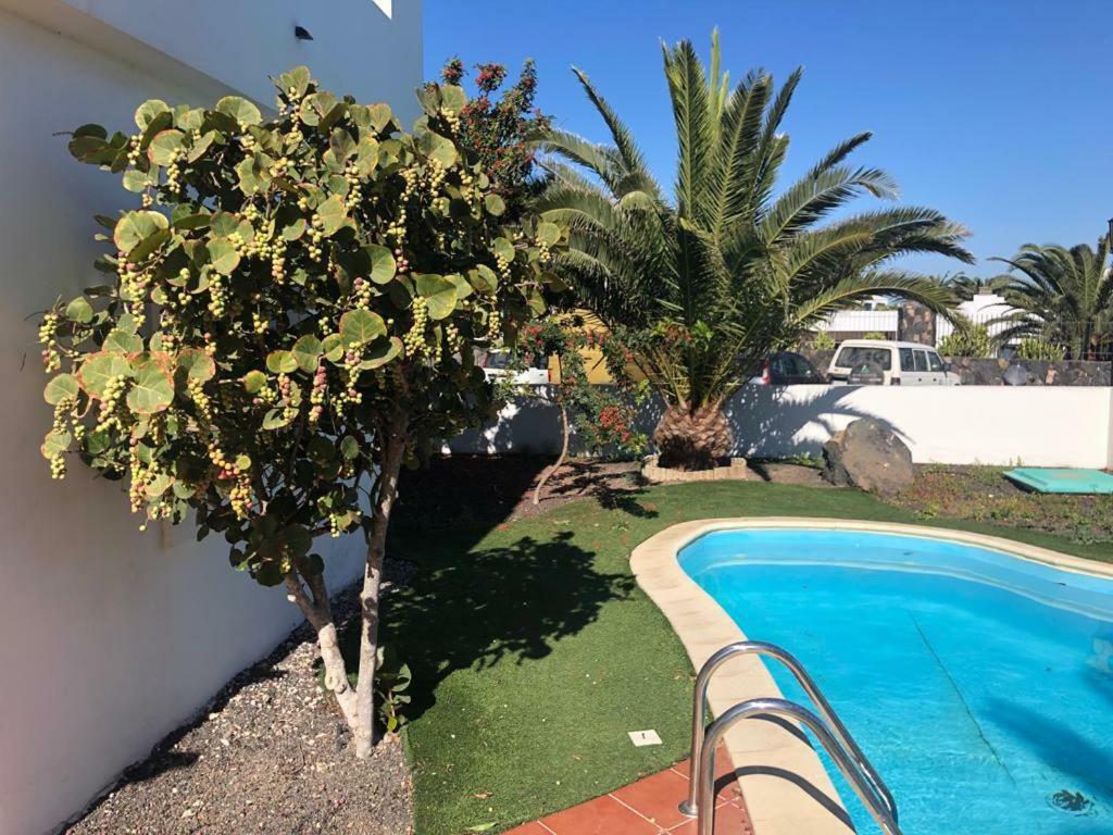 Royal Park Guesthouse Corralejo Eksteriør billede